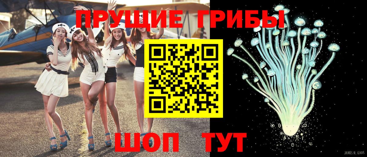 Псилоцибиновые грибы Magic Shrooms Знаменск